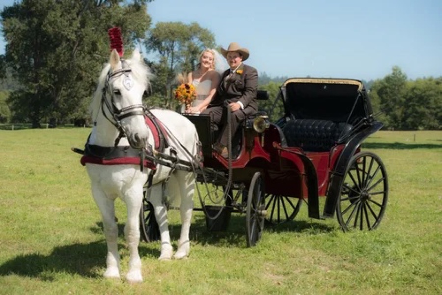 Horse-drawn carriage for wedding and special event rental near Eureka California